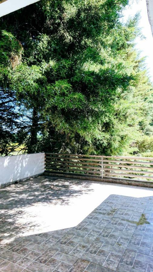 Suites Toluca Exterior foto